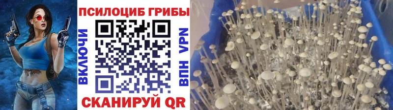 Купить  Конаково  Галлюциногенные грибы ЛСД 