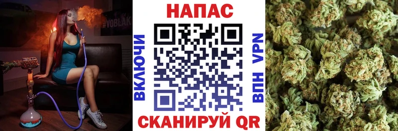 Купить закладки  Конаково  МАРИХУАНА гибрид 